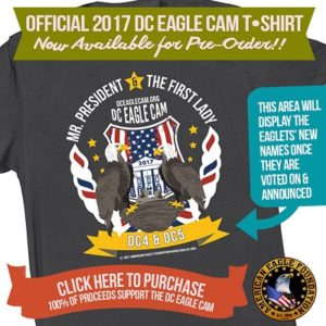 Support DC Eagle CAM